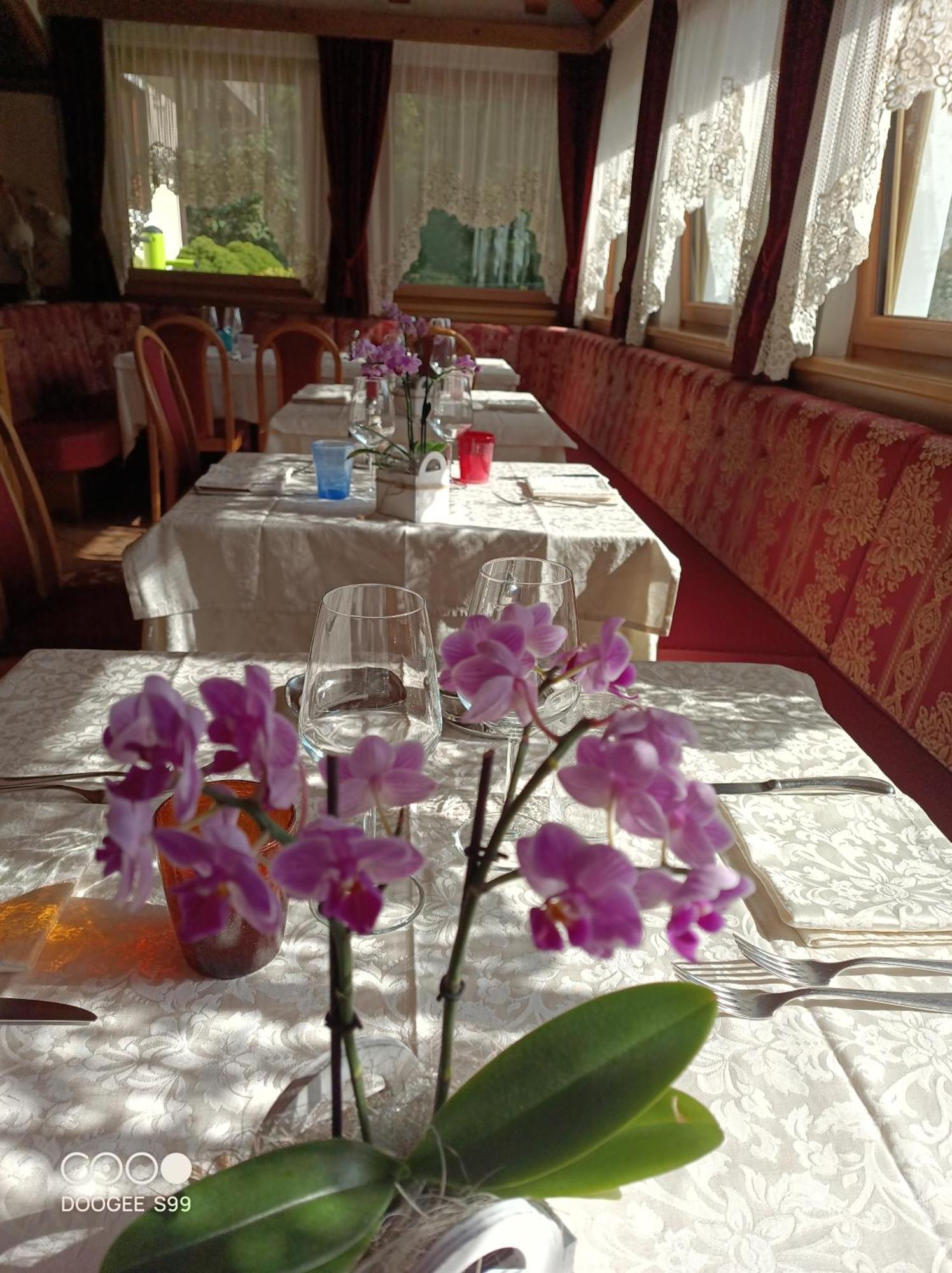 Park Hotel Arnica Falcade Zewnętrze zdjęcie