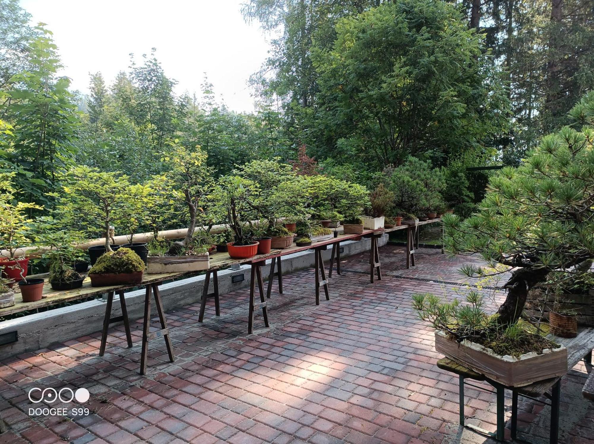 Park Hotel Arnica Falcade Zewnętrze zdjęcie